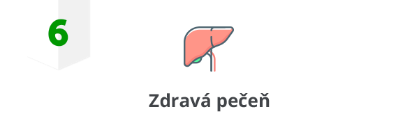 6 Zdravá pečeň 